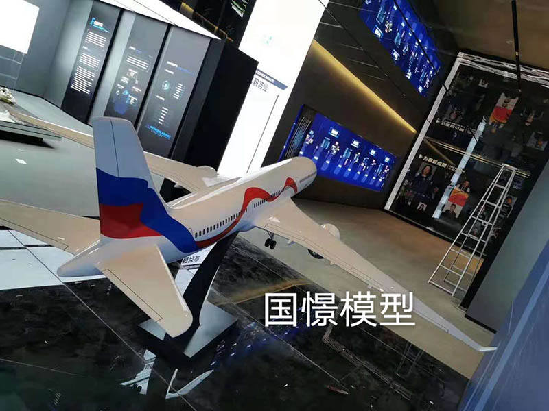 高唐县飞机模型